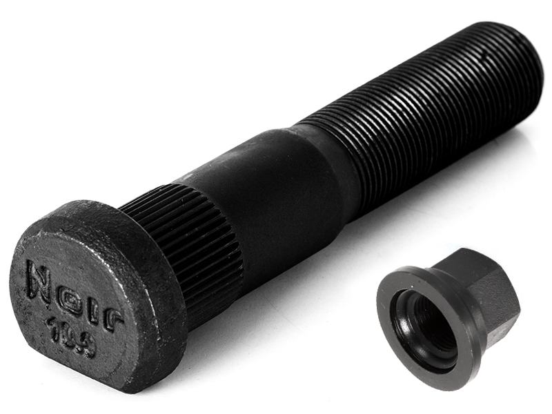 RENAULT MAGNUM BİJON RENAULT 5010241892