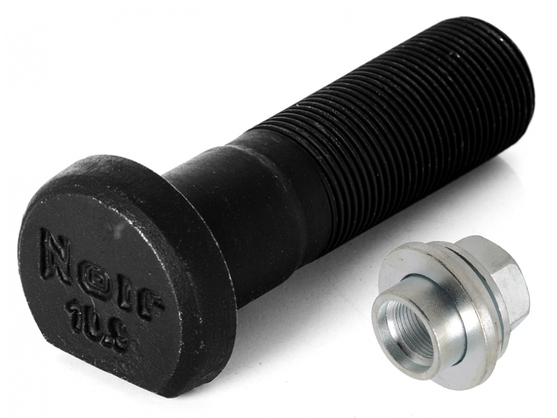 FORTUNA ARKA BİJON MAN